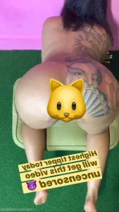 15626607