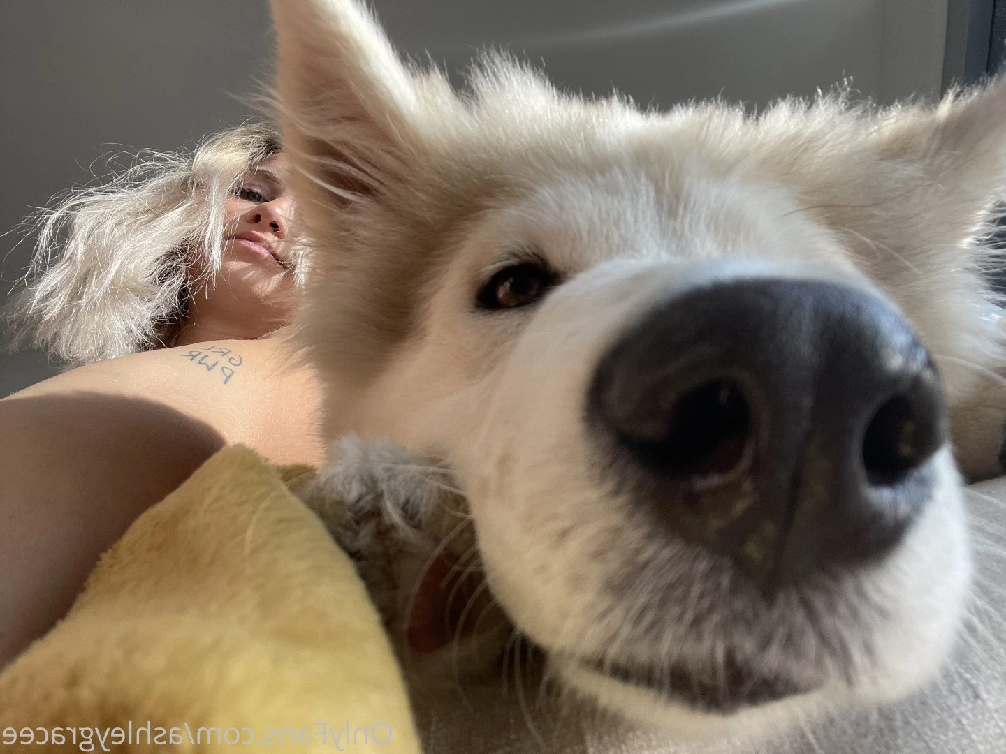 Ashley Grace [ littlewh0renextdoor ] Onlyfans leaked photo 112587 on Hotleaks.tv