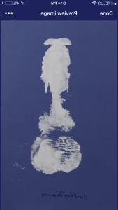 16335617