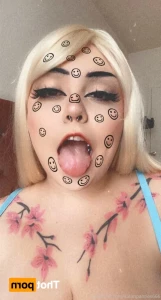 16282656