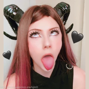 6623697