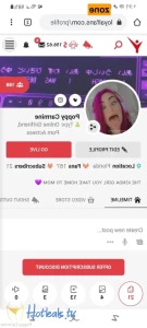 16174265