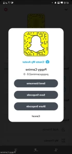 16294464
