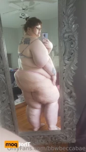 15537396
