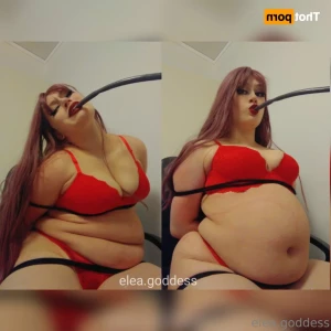 15915693