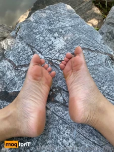 13764978