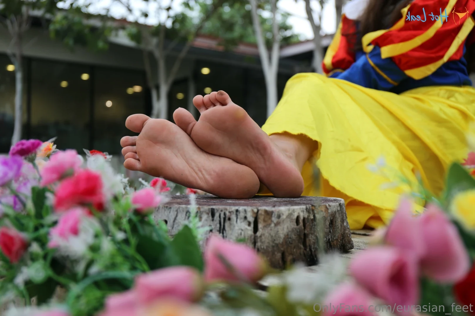 Eurasian Feet [ eurasian_feet ] Onlyfans leaked photo 13765052 on Hotleaks.tv