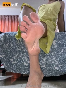 15593338