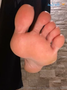 15593351