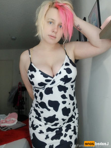 16609255