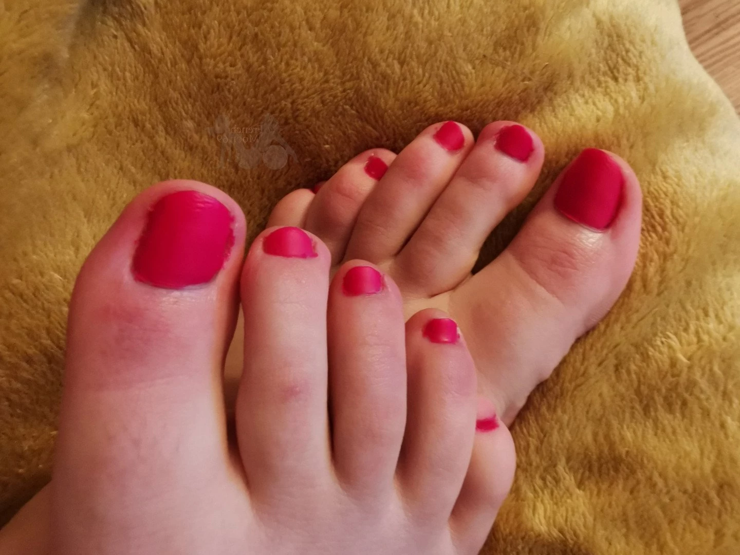 French Moon [ frenchmoon69 ] Onlyfans leaked photo 3800638 on Hotleaks.tv