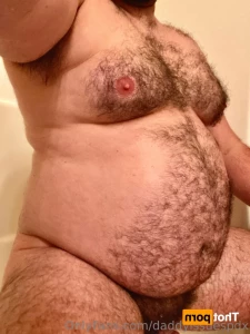 15647506