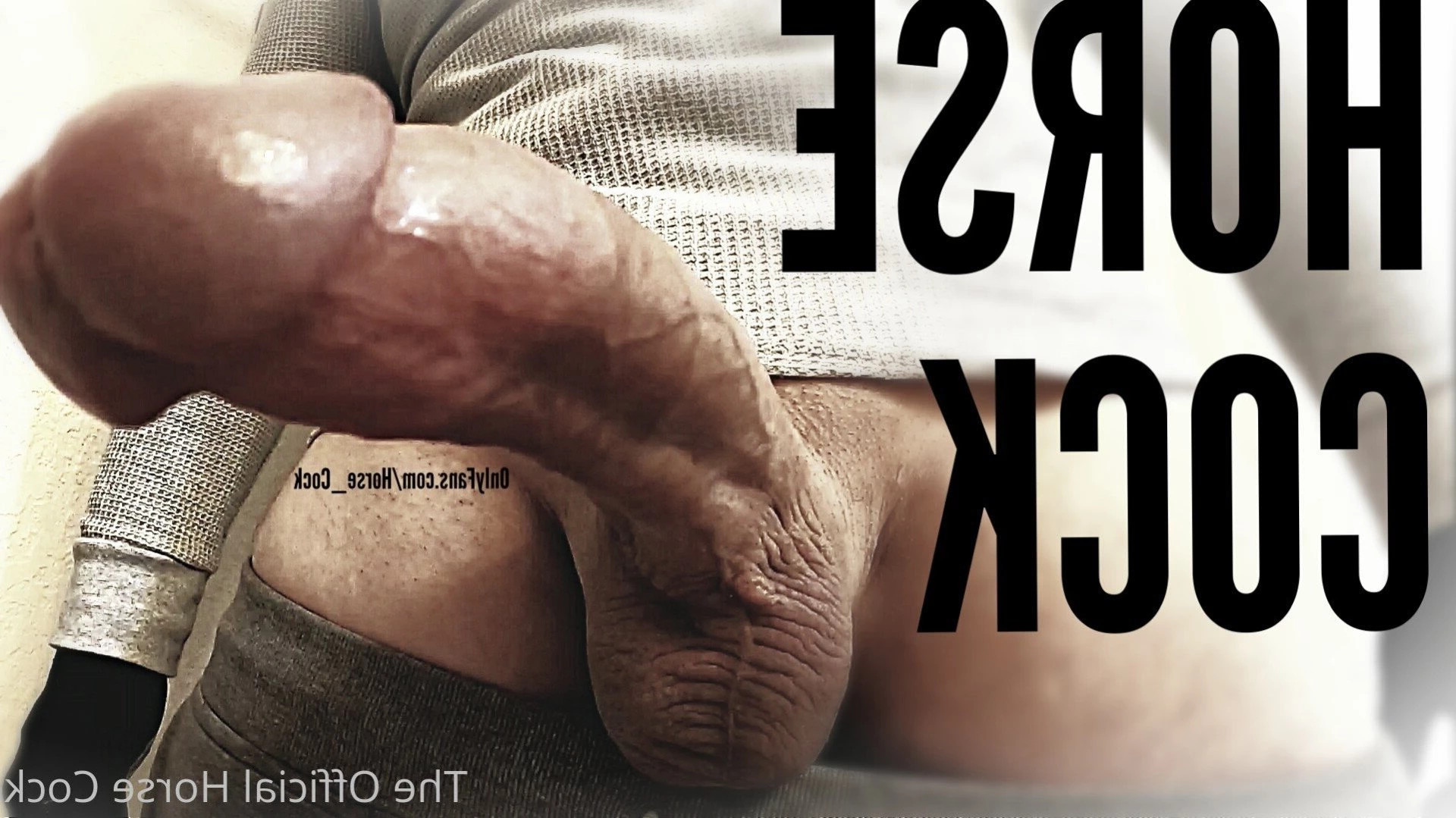 Horse Cock [ horse_cock ] Onlyfans leaked photo 4409044 on Hotleaks.tv
