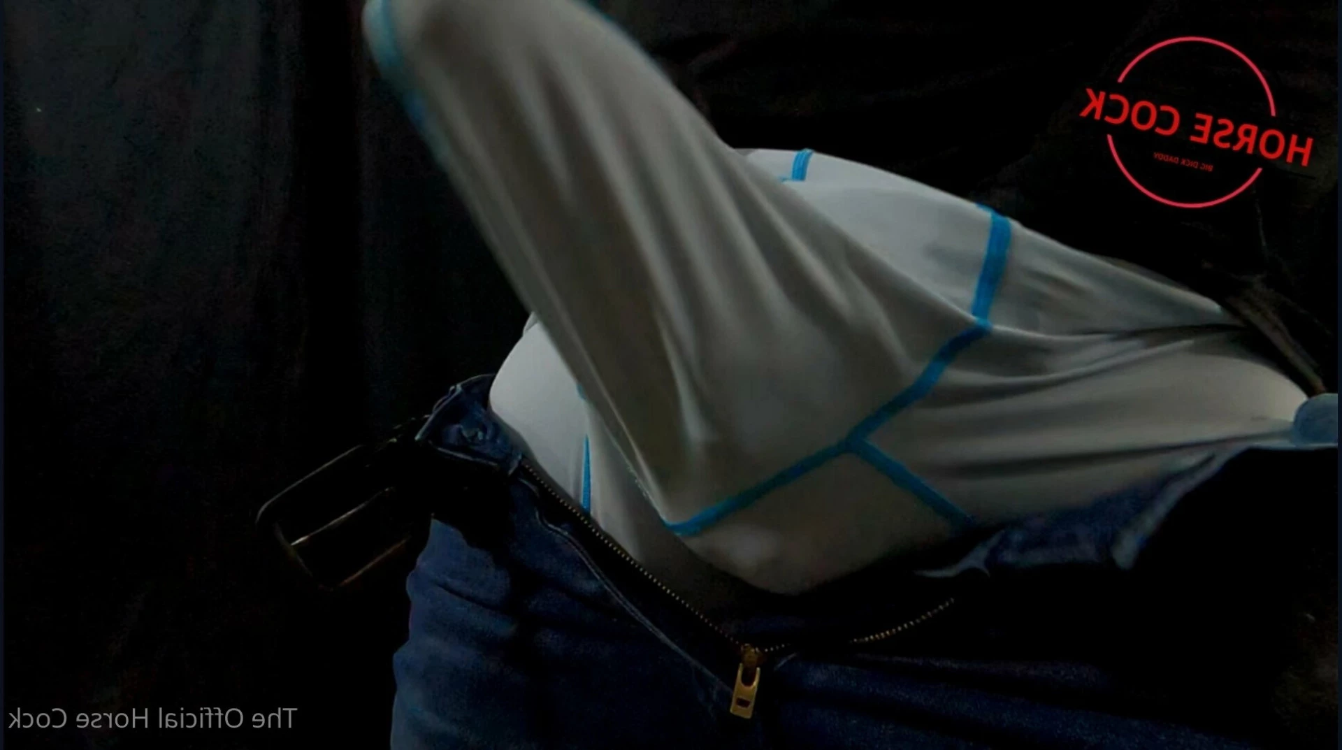 Horse Cock [ horse_cock ] Onlyfans leaked photo 6589119 on Hotleaks.tv