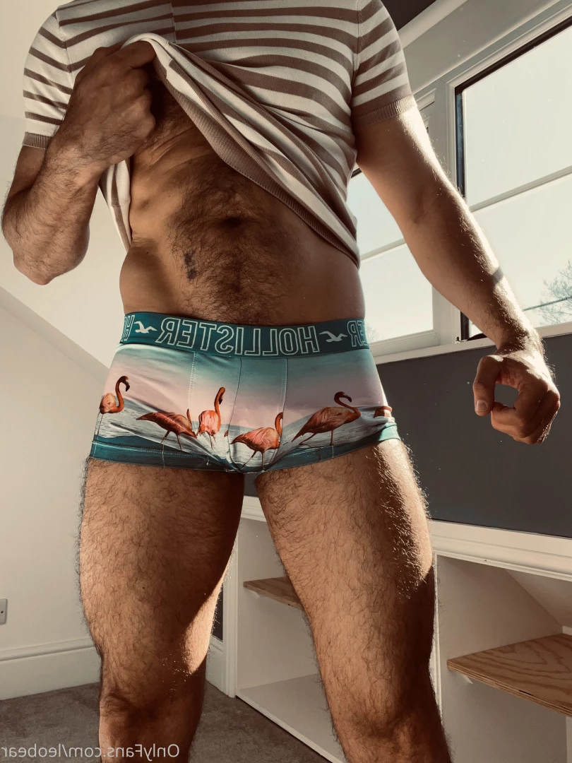 Leo &amp; Cooper [ leobear ] Onlyfans leaked photo 6586685 on Hotleaks.tv