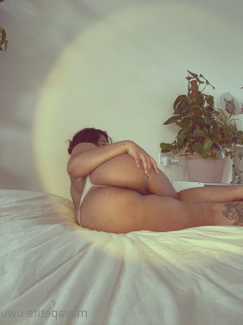 maya - top 3% 💛 [ mayapetite ] Onlyfans leaked photo 6583816 on Hotleaks.tv