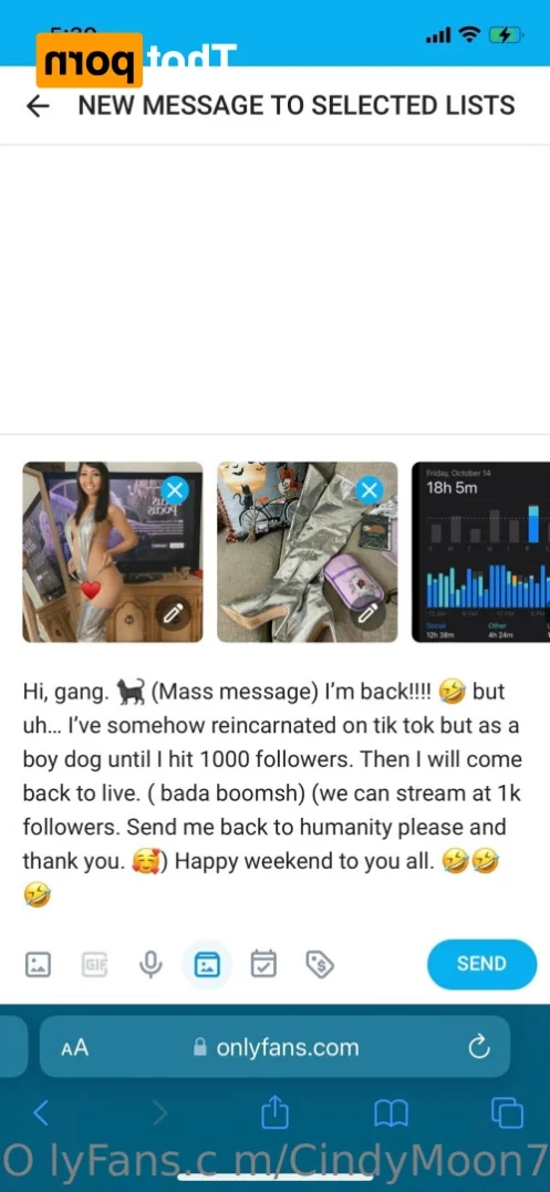 cindymoon 🔝2.1% Busty Petite Asian Dream [ cindymoon7 ] Onlyfans leaked photo 16173511 on Hotleaks.tv