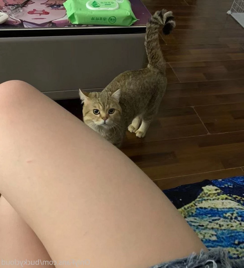 LittlePotato [ buckycloud ] Onlyfans leaked photo 214880 on Hotleaks.tv