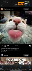 13880533