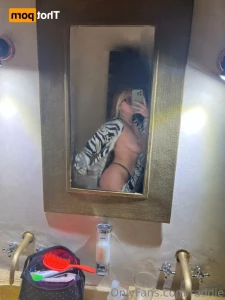 15831031
