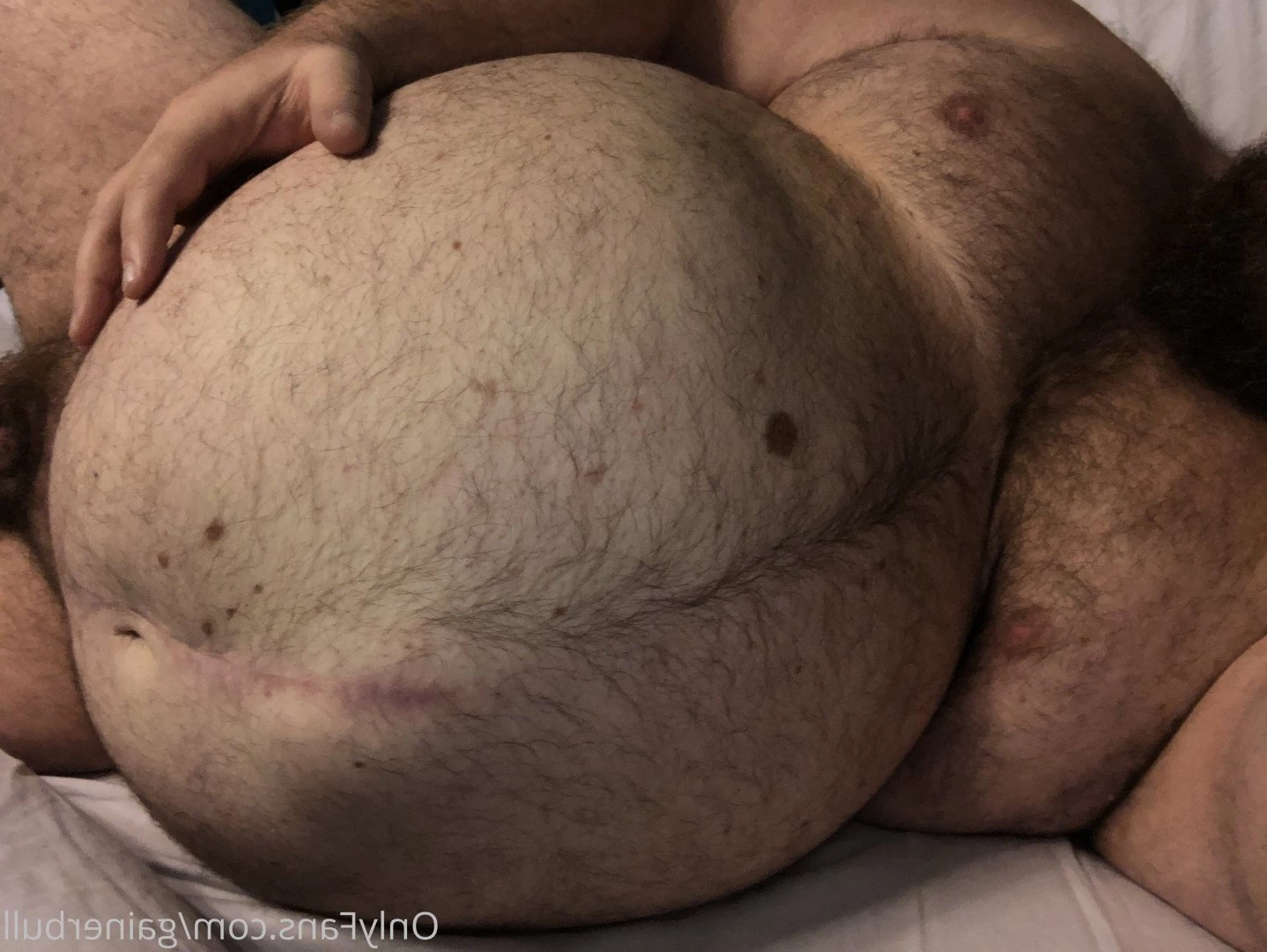 gainerbull Onlyfans leaked photo 3518024 on Hotleaks.tv