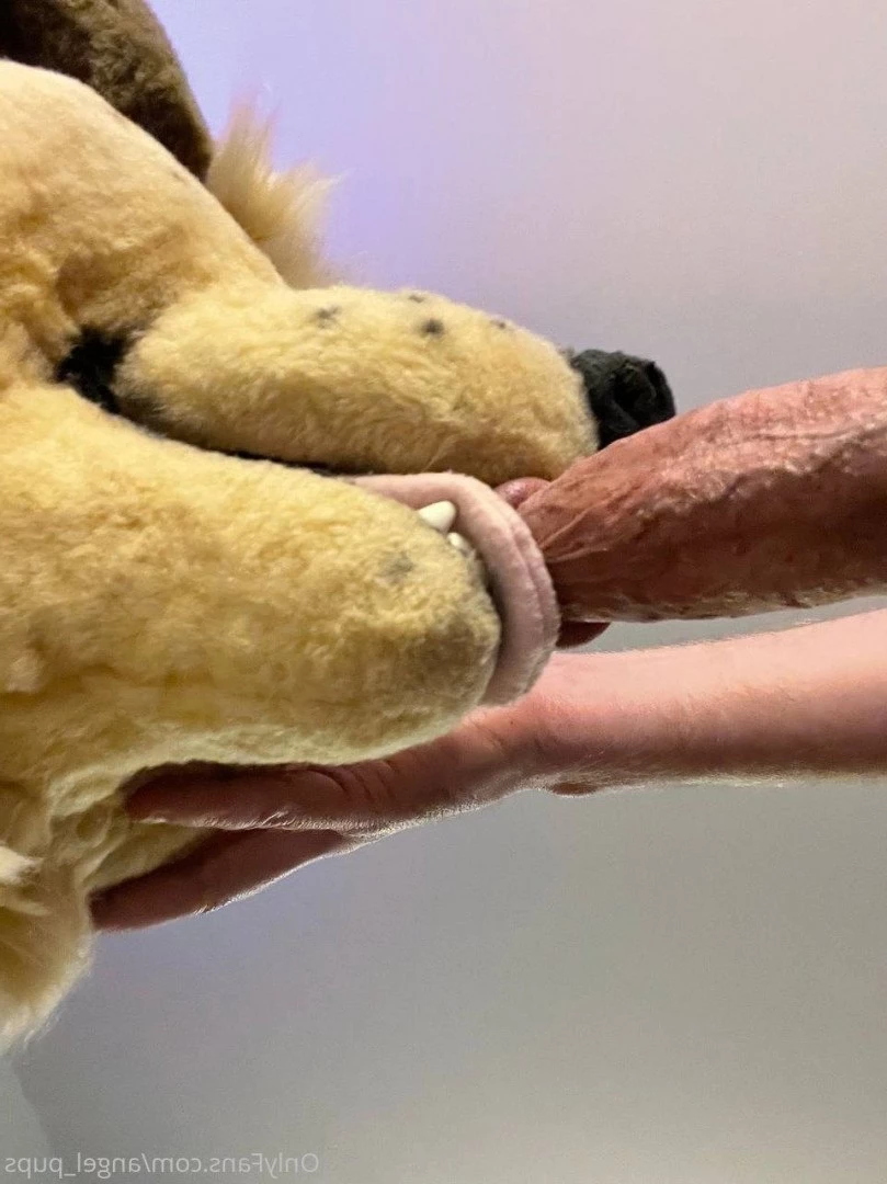 Angel 🖤 [ angel_pups ] Onlyfans leaked photo 3486322 on Hotleaks.tv