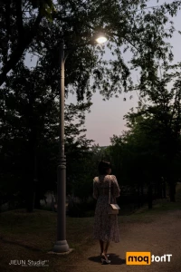 16071858