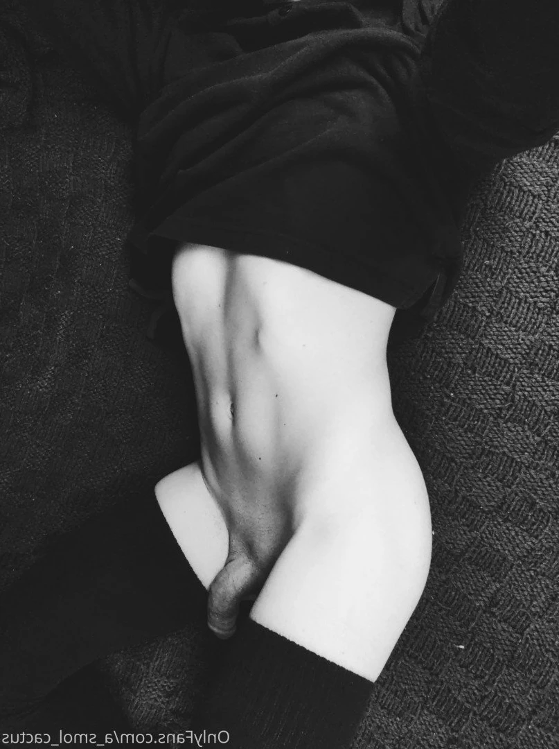A Smol Cactus [ asmolcactus ] Onlyfans leaked photo 3635425 on Hotleaks.tv