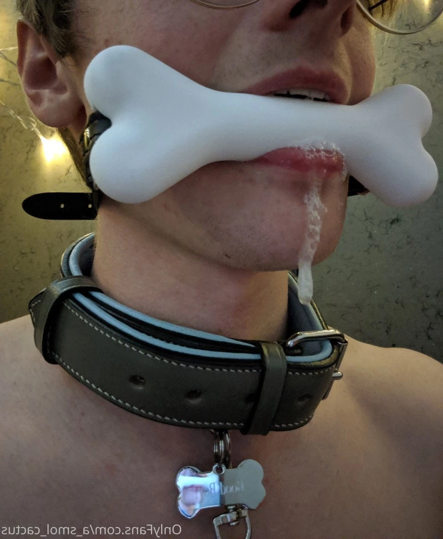 A Smol Cactus [ asmolcactus ] Onlyfans leaked photo 3663812 on Hotleaks.tv