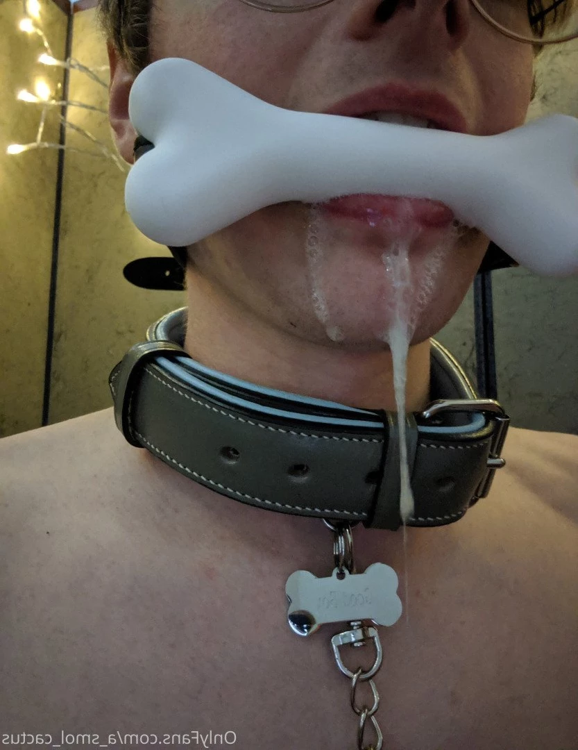 A Smol Cactus [ asmolcactus ] Onlyfans leaked photo 3726590 on Hotleaks.tv