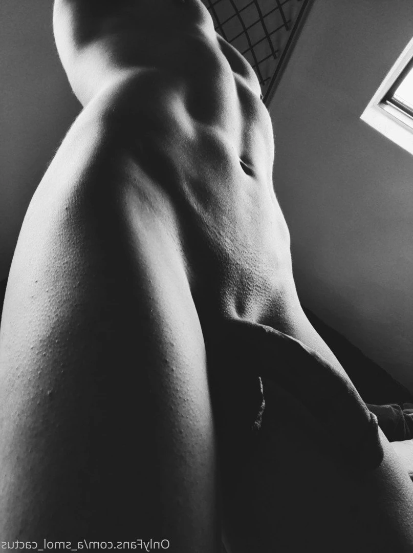 A Smol Cactus [ asmolcactus ] Onlyfans leaked photo 3746154 on Hotleaks.tv