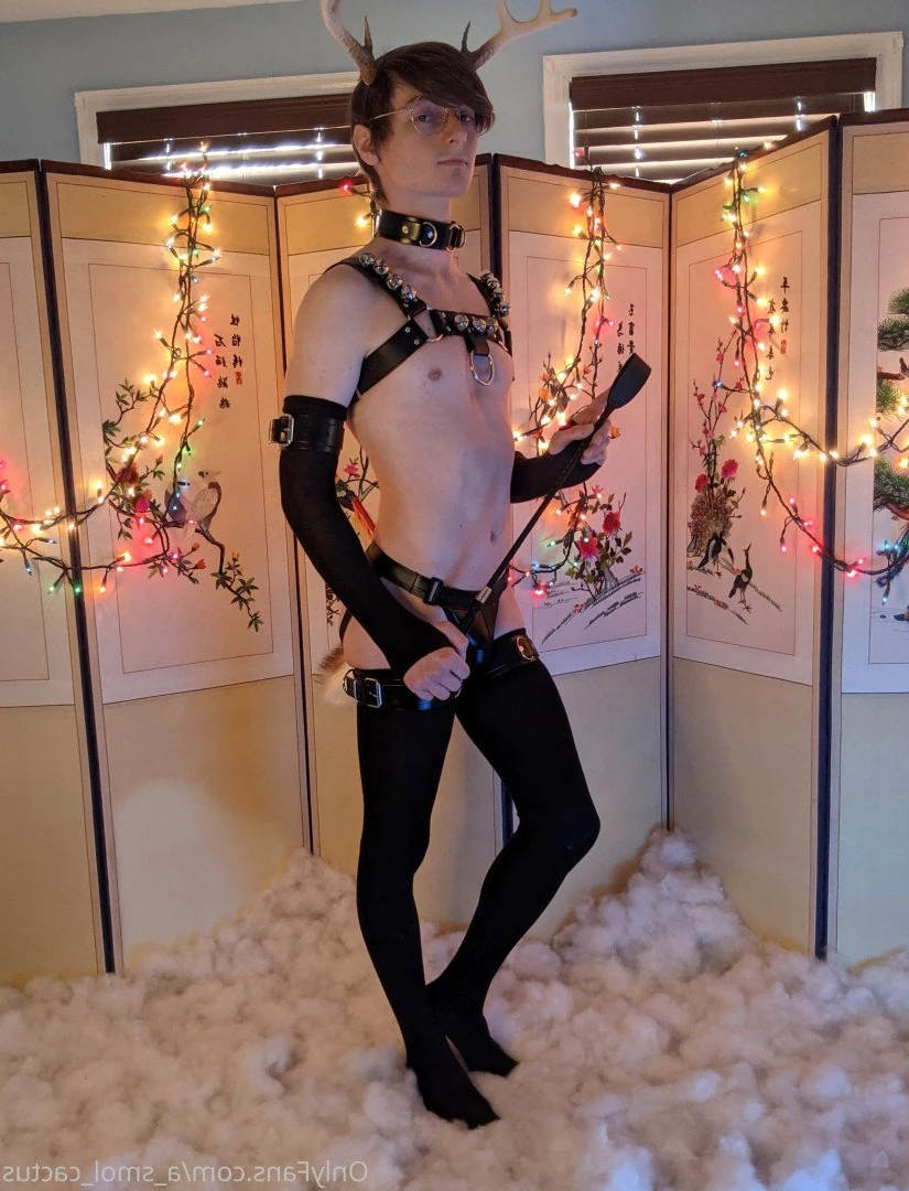 A Smol Cactus [ asmolcactus ] Onlyfans leaked photo 3760405 on Hotleaks.tv