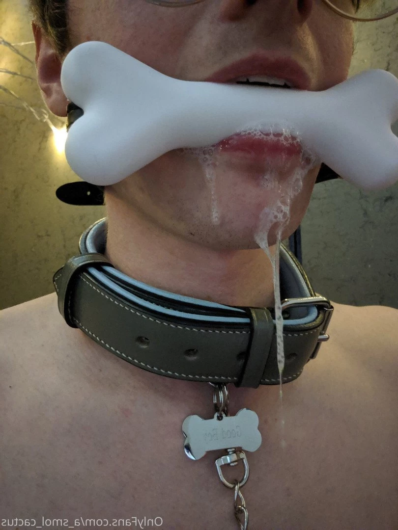 A Smol Cactus [ asmolcactus ] Onlyfans leaked photo 3779311 on Hotleaks.tv