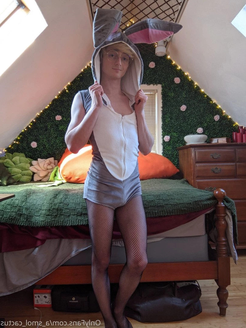 A Smol Cactus [ asmolcactus ] Onlyfans leaked photo 3788022 on Hotleaks.tv