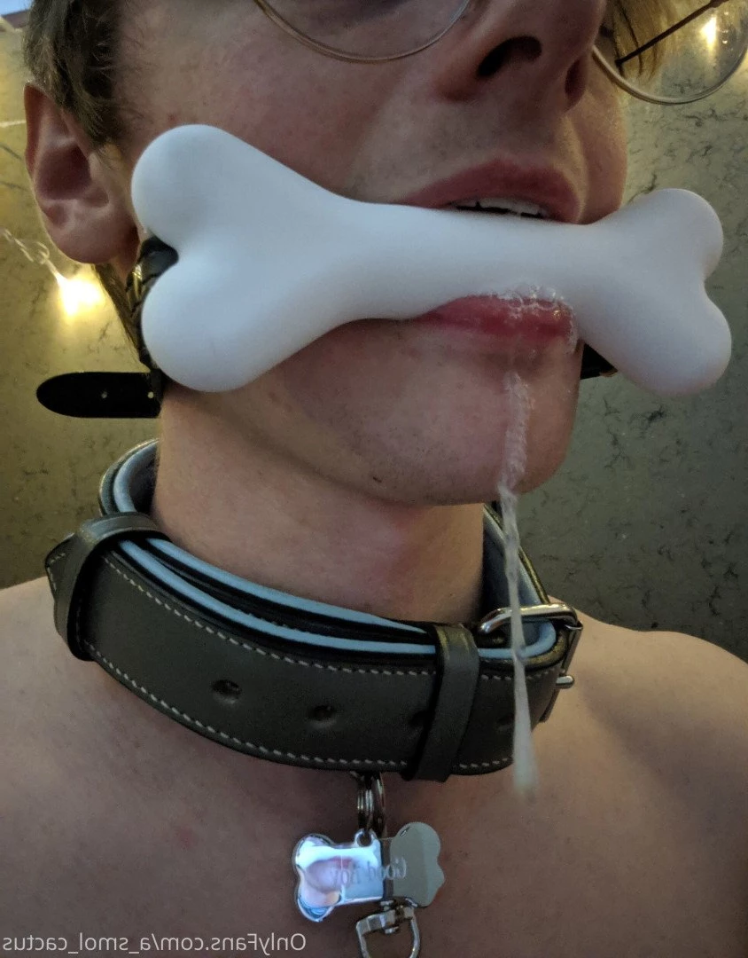 A Smol Cactus [ asmolcactus ] Onlyfans leaked photo 3788777 on Hotleaks.tv