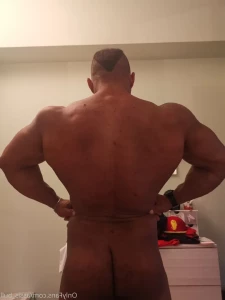 3687733