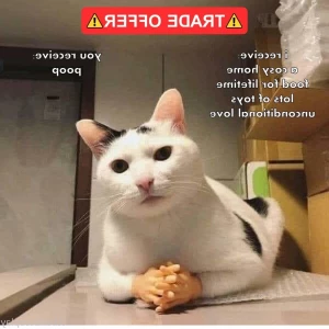 6361189