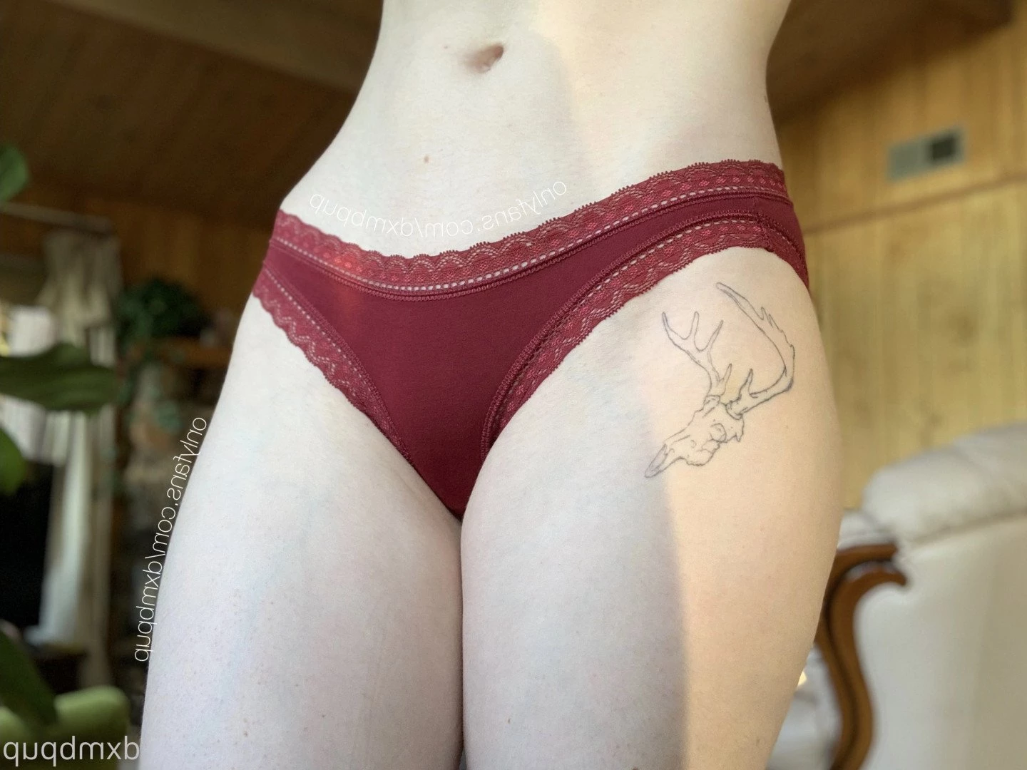 mutt 🌿 [ dxmbpup ] Onlyfans leaked photo 3458170 on Hotleaks.tv
