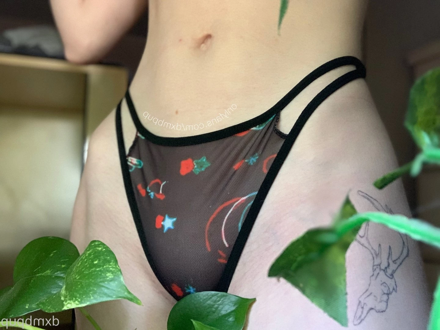 mutt 🌿 [ dxmbpup ] Onlyfans leaked photo 3458984 on Hotleaks.tv