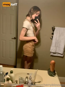 16048266