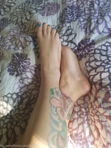 6287592