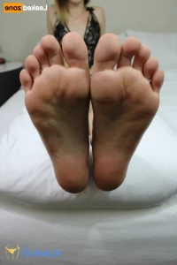 16478300