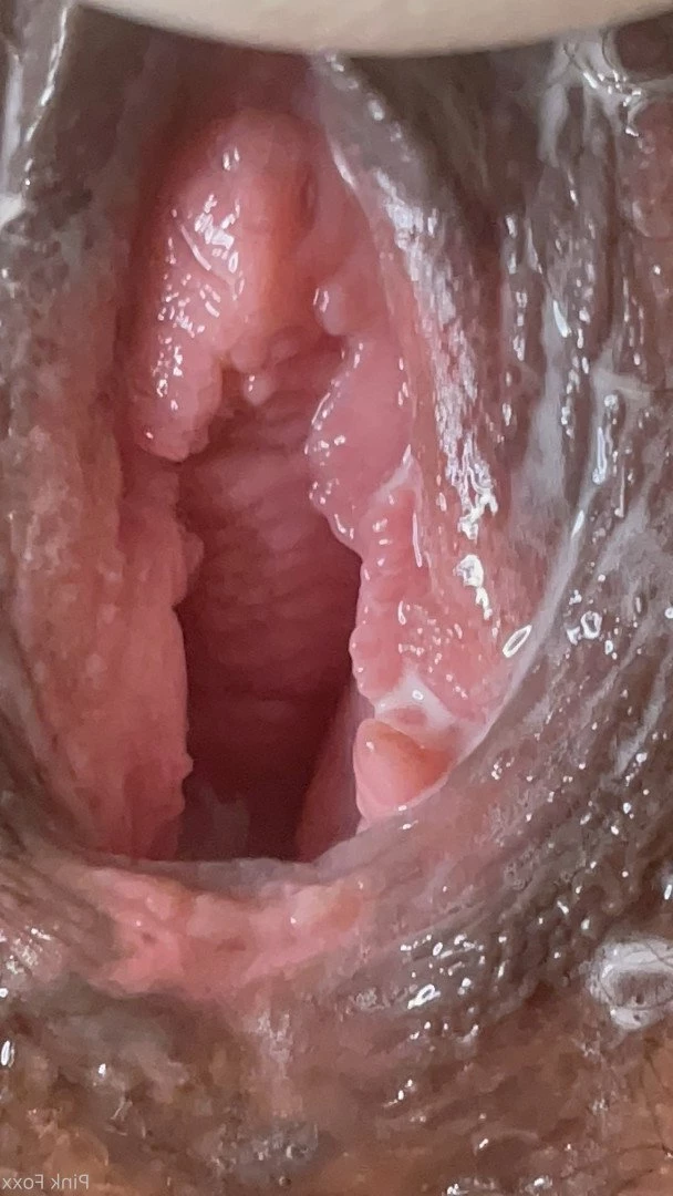 Pink Foxx [ foxxpink ] Onlyfans leaked photo 3459864 on Hotleaks.tv