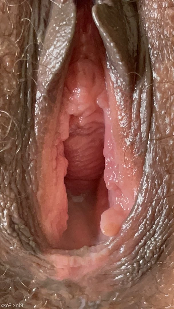 Pink Foxx [ foxxpink ] Onlyfans leaked photo 3518868 on Hotleaks.tv