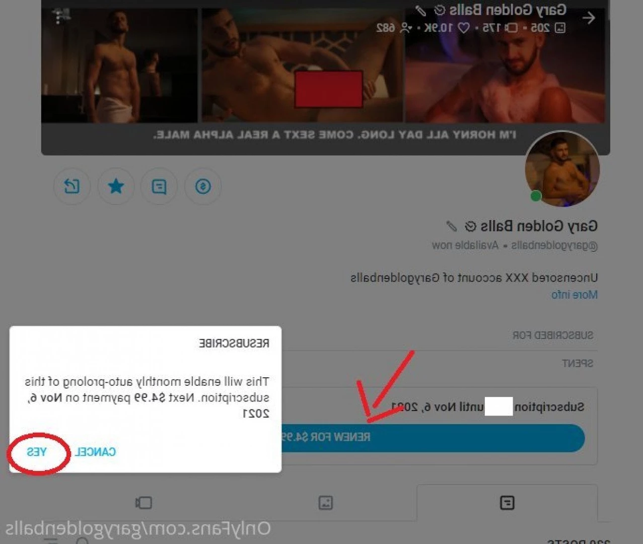 Gary Golden Balls [ garygoldenballs ] Onlyfans leaked photo 3375622 on Hotleaks.tv