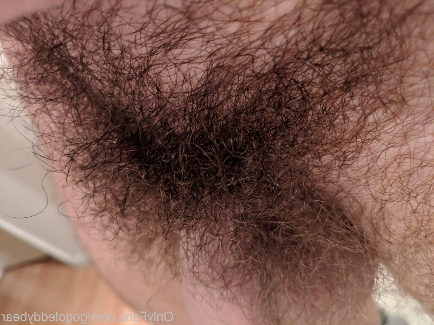 Teddy Bear [ gogoteddybear ] Onlyfans leaked photo 3352382 on Hotleaks.tv