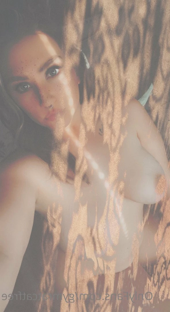 gymratcatfree Onlyfans leaked photo 3388735 on Hotleaks.tv