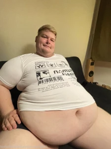 3316816