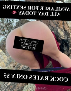 12487204