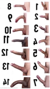 16507741